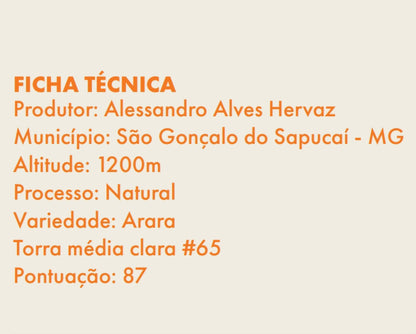 HONEY COFFEE - Mantiqueira de Minas